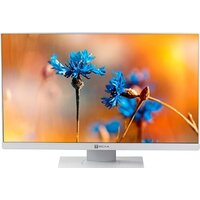 Моноблок ТЕСЛА P24WP 2116500