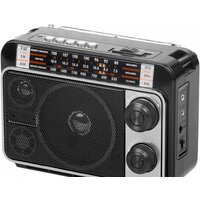 Радиоприемник Ritmix RPR-171