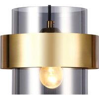Подвесная люстра Ambrella light TR TR3645