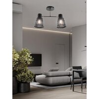 Люстра средней высоты Aitin Pro НПБ 02-2x60-101 6074/2 (черный/золото)