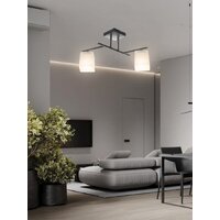 Люстра средней высоты Aitin Pro НПБ 02-2x60-101 N5956/2 (черный/хром)