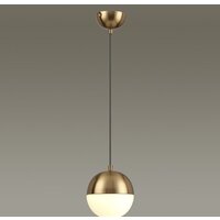 Подвесная люстра Odeon Light Pinga 4960/1