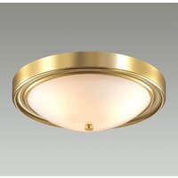 Припотолочная люстра Lumion Nina 5259/3C