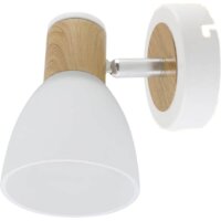 Спот TDM Electric SQ0356-0001
