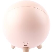Ночник ЭРА NLED-468-1W-P
