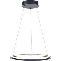 Подвесная люстра ST Luce St604 Out ST604.443.22