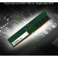 Оперативная память Digma 16ГБ DDR5 4800 МГц DGMAD54800016S