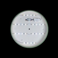 Светильник-тарелка LOFT IT Axel 10003/24 Green