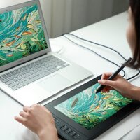 Графический монитор Gaomon PD1161