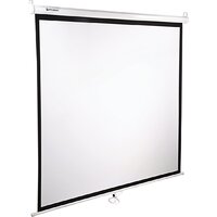 Проекционный экран BRAUBERG Wall 1:1 (180x180) 236726