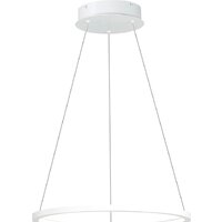 Подвесная люстра ST Luce ST603.543.22