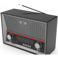 Радиоприемник Ritmix RPR-102 (карбон)