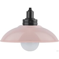 Ночник ЭРА NLED-487-1W-SW-P