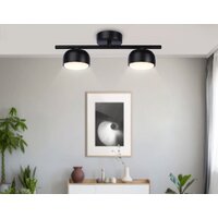 Припотолочная люстра Ambrella light Techno Spot TN71024/2 BK (черный)