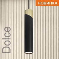 Подвесная люстра Wolta WSL-GU10/P06BG