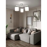 Припотолочная люстра Aitin Pro НПБ 02-3x60-101 N6788/3 (белый/хром)