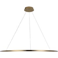 Подвесная люстра LOFT IT Ring 10014XXL