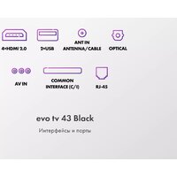 Телевизор Evo TV 43 Black TD0051752RU