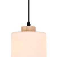 Подвесная люстра Escada 160002/B/1P ES0000016 (черный)
