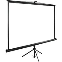 Проекционный экран CACTUS TriExpert 200x150 CS-PSTE-200х150-BK