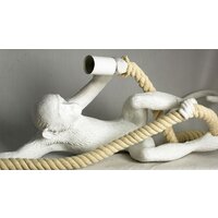 Подвесная люстра Lussole Loft Aya LSP-9993