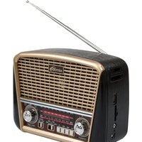 Радиоприемник Ritmix RPR-050 (золотой)
