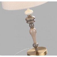 Настольная лампа Odeon Light Homi 5040/1T