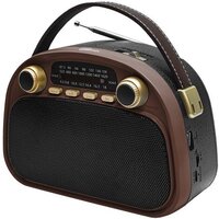 Радиоприемник Ritmix RPR-040 (шоколадный)