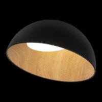 Люстра средней высоты LOFT IT Egg 10197/500