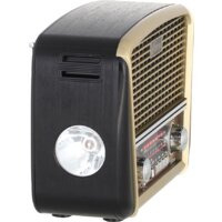 Радиоприемник Ritmix RPR-050 (золотой)