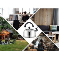 Чайник со свистком Sundays Home TBD0604715801 (3л)