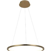 Подвесная люстра LOFT IT Ring 10014M
