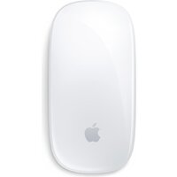 Мышь Apple Magic Mouse USB-C (белый)