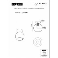 Припотолочная люстра iLamp Mono C6079-1 BK+SM