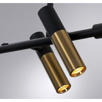 Подвесная люстра Arte Lamp Klimt A2850SP-45BK