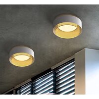 Припотолочная люстра ImperiumLoft Casing-C01 189557-26