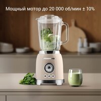 Стационарный блендер Redmond (Редмонд) BS413