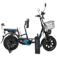 Электровелосипед Smart Balance Master 2024