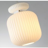 Подвесная люстра Odeon Light Jugi 5042/1C