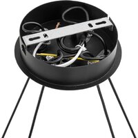 Подвесная люстра Lumion Torina 8340/8