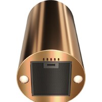 Кухонная вытяжка Konigin Beauty 31 (медный)