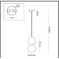 Подвесная люстра Odeon Light Changi 4980/1B