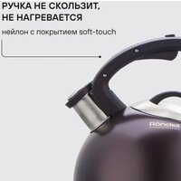 Чайник со свистком Rondell Tierno RDS‑1900