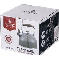 Чайник со свистком Agness 937-904