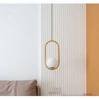 Подвесная люстра ImperiumLoft Hoop-b01 179965-22