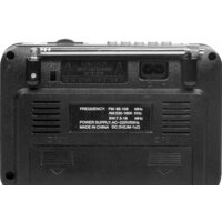Радиоприемник Ritmix RPR-171