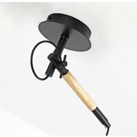 Подвесная люстра F-Promo Eureka 3006-1P