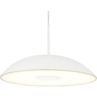 Припотолочная люстра ST Luce SL6128.503.01