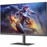 Монитор ELSA EA251Q