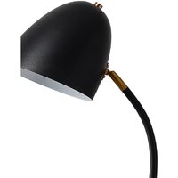 Торшер Kinklight Олби 07041.19